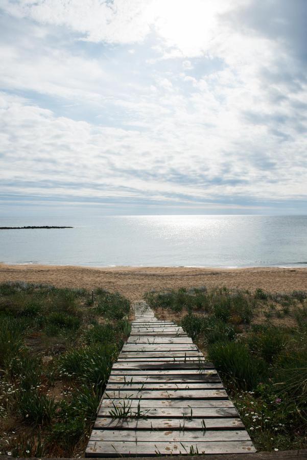וויידוקיליה Petrochori Beach House מראה חיצוני תמונה